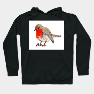 Robin redbreast Hoodie